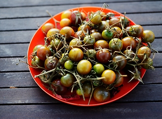 Image showing small green tomatoes in a red plate 