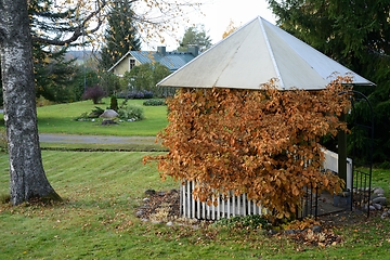 Image showing gazebo covered with yellow autumn leaves