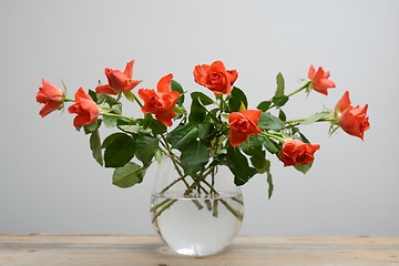 Image showing beautiful roses in a glass vase