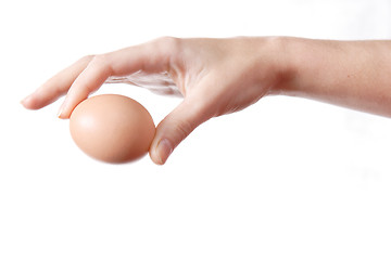 Image showing Egg in Hand