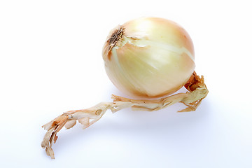 Image showing Vegetables, Onion