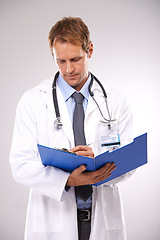 Image showing Clipboard, writing and doctor in studio for medical report, insurance and research for hospital. Healthcare, clinic and worker with documents for consulting, wellness and planning on gray background
