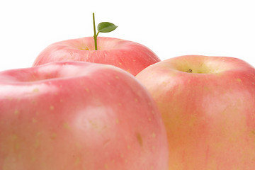 Image showing Fruits, Rose Apple