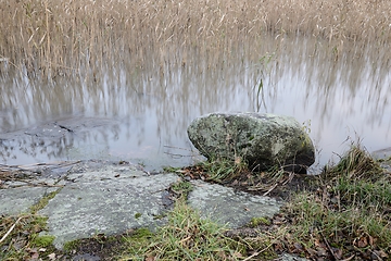 Image showing lake shore overgrown with reeds and stones covered with moss