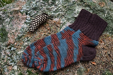 Image showing a pair of brown striped socks in the forest on a stone