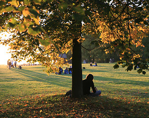 Image showing Persons Sitting under Tree