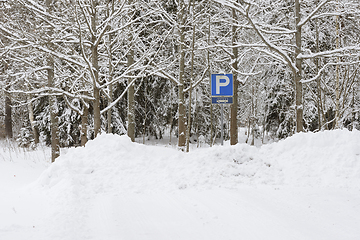 Image showing bus parking near a forest in winter