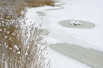 Image showing winter lake, stone under snow and reeds 