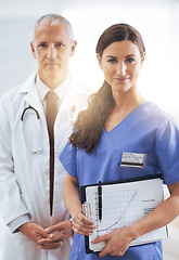 Image showing Doctor, nurse and happy with partner in portrait with documents, charts and wellness in hospital. Medic, man and woman in team with graph paper for healthcare services in clinic with pride for job