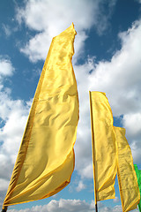 Image showing brightly yellow flags