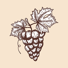 Image showing Icon Of Grape