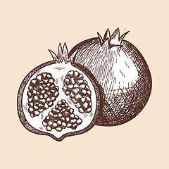 Image showing Icon Of Pomegranate