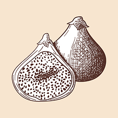 Image showing Icon Of Fig Fruit