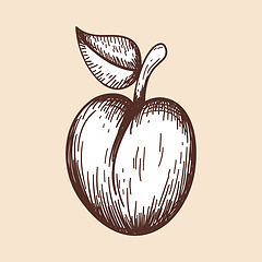 Image showing Icon Of Plum