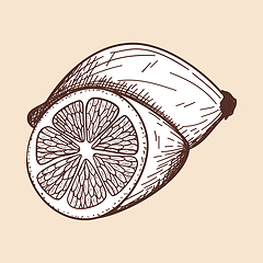 Image showing Icon Of Lemon