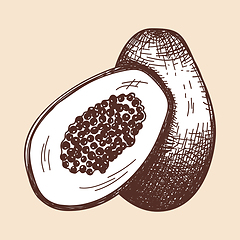 Image showing Icon Of Papaya