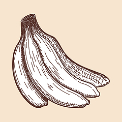 Image showing Icon Of Banana