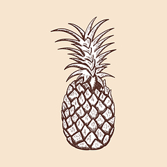 Image showing Icon Of Pineapple