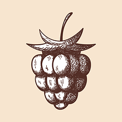 Image showing Icon Of Raspberry
