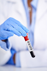 Image showing Scientist, hands and blood test in laboratory for research of DNA, virus and analysis or medical study in closeup. Professional medical person or expert with sample, tube or red liquid for health