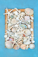 Image showing Decorative Sea Shell and Pearl Abstract Frame 