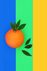 Image showing Summer Orange Citrus Fruit for Good Health