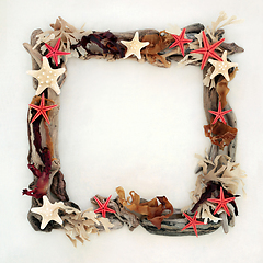 Image showing Starfish Driftwood and Seaweed Abstract Frame  