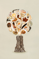 Image showing Surreal Natural Nature Tree Collage Design