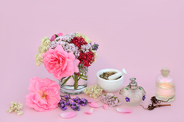 Image showing Adaptogen Herbal Medicine Preparation with Herbs and Flowers