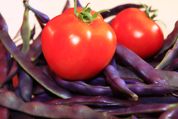 Image showing red tomatoes and lilac pods of haricot