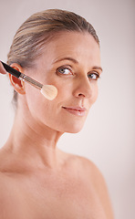 Image showing Brush, makeup and portrait of woman in studio for cosmetic, self care and facial glow routine. Beauty, foundation and mature female person with cosmetology tool for face treatment by gray background