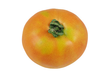 Image showing Tomato