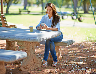 Image showing Phone, search or woman in park for social media, chat or contact communication on coffee break. Smartphone, networking or lady person in nature with app for taxi, research or chauffeur travel service