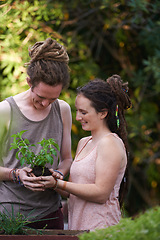 Image showing Happy couple, man and woman with plants in backyard, harvest and sustainability of herbs for growth. People, working and caring for garden together with smile, dating and bonding in relationship