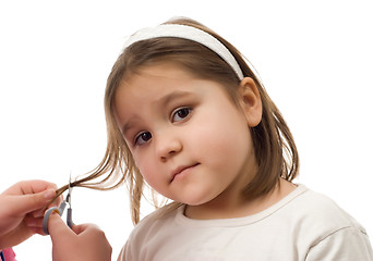 Image showing Cutting Hair