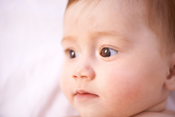 Image showing Closeup, girl and baby on bed with curiosity for childhood development, growth and relax in nursery. Newborn, ginger and kid with wonder for wellness, knowledge and calm child in bedroom from above