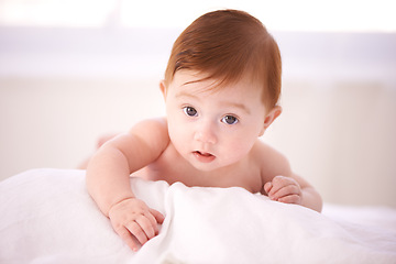 Image showing Portrait, care and curious baby on bed, tummy time for child development and play in nursery comfort. Girl, infant or newborn wellness in family home for childcare, crawl or kid learning for growth