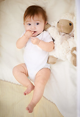 Image showing Baby, nursery and rest with sheep in home, above and healthy with growth, development and relax in morning. Infant, child and newborn with lamb doll, toys and bite finger in bedroom at family house