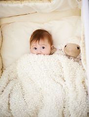 Image showing Baby, bed and blanket with sheep in home, above and healthy with growth, development and playing in morning. Infant, child and newborn with lamb doll, soft toys and relax in bedroom at family house