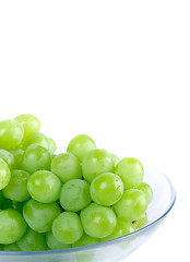 Image showing green grapes in bowl