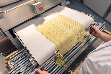 Image showing Fresh pasta production