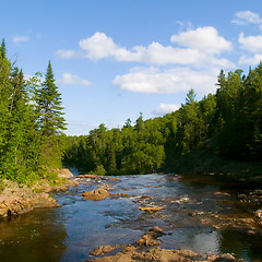 Image showing River Above Falls