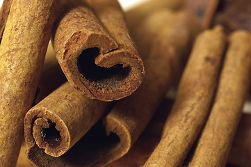 Image showing Cinnamon