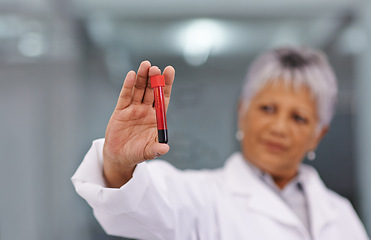 Image showing Science, blood sample and woman with test tube in laboratory for medical research and analysis study. Healthcare, biotechnology and scientist for vaccine development, DNA experiment and medicine