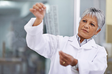 Image showing Mature woman, scientist and dna print or pattern with result at lab for data, forensic and analyze for healthcare. Female person, genome research and science study as medical expert to review