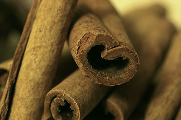 Image showing Cinnamon