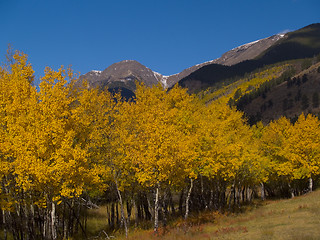 Image showing Mt. Chapin Autumn