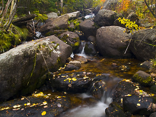 Image showing Mill Creek Autumn