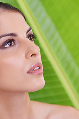 Image showing Woman, thinking and beauty with makeup, cosmetics and skincare with plant and green background. Wellness, care and facial treatment with female person and leaf with dermatology and skin glow