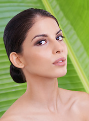 Image showing Nature, woman and beauty with palm leaf background, makeup and natural skincare with dermatology. Organic, face and eco friendly cosmetics in portrait, clean with wellness and sustainable treatment